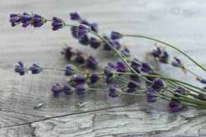 Foods for Relaxation