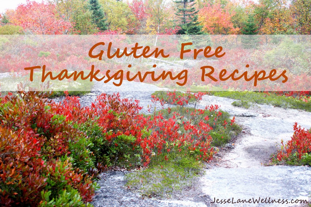 Gluten Free Thanksgiving Recipes by @jesselwellness #glutenfree #Thanksgiving