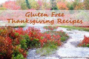Gluten Free Thanksgiving Recipes by @jesselwellness #glutenfree #Thanksgiving