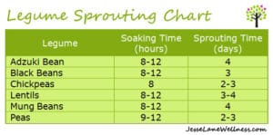 How to Sprout Beans - Legume Sprouting Chart by @jesselwellness #sprouting #beans #legumes