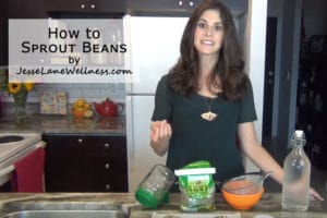 How to Sprout Beans YouTube