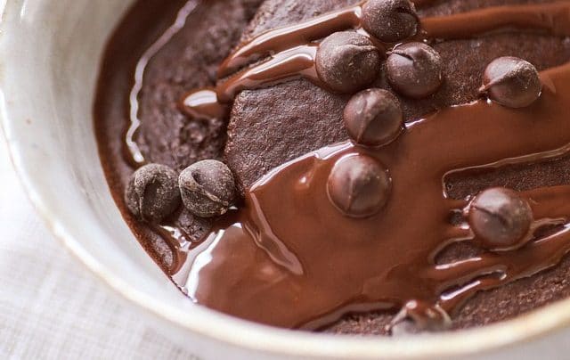Dairy Free Dessert Recipe Roundup with @jesselwellness Chocolate Mug Cake #cake #dessert