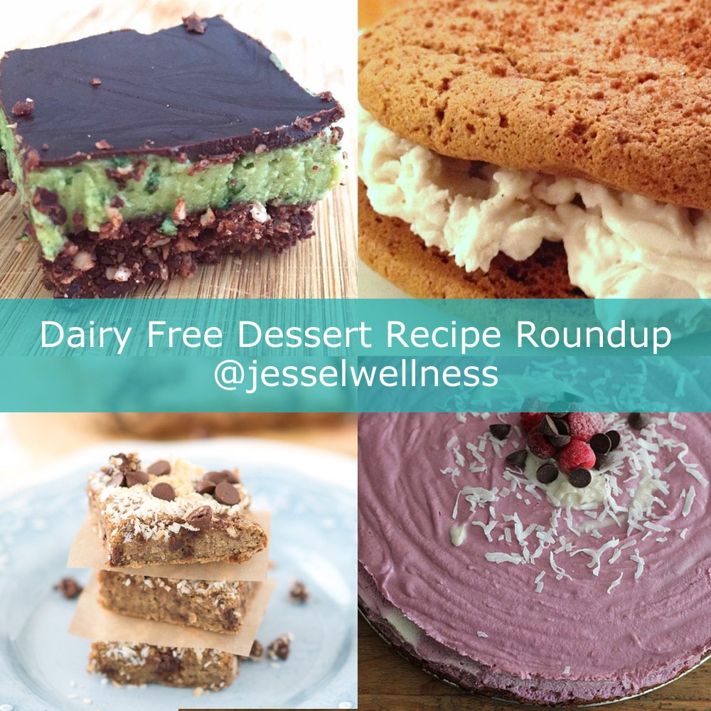 Dairy Free Dessert Roundup Jesse Lane Wellness