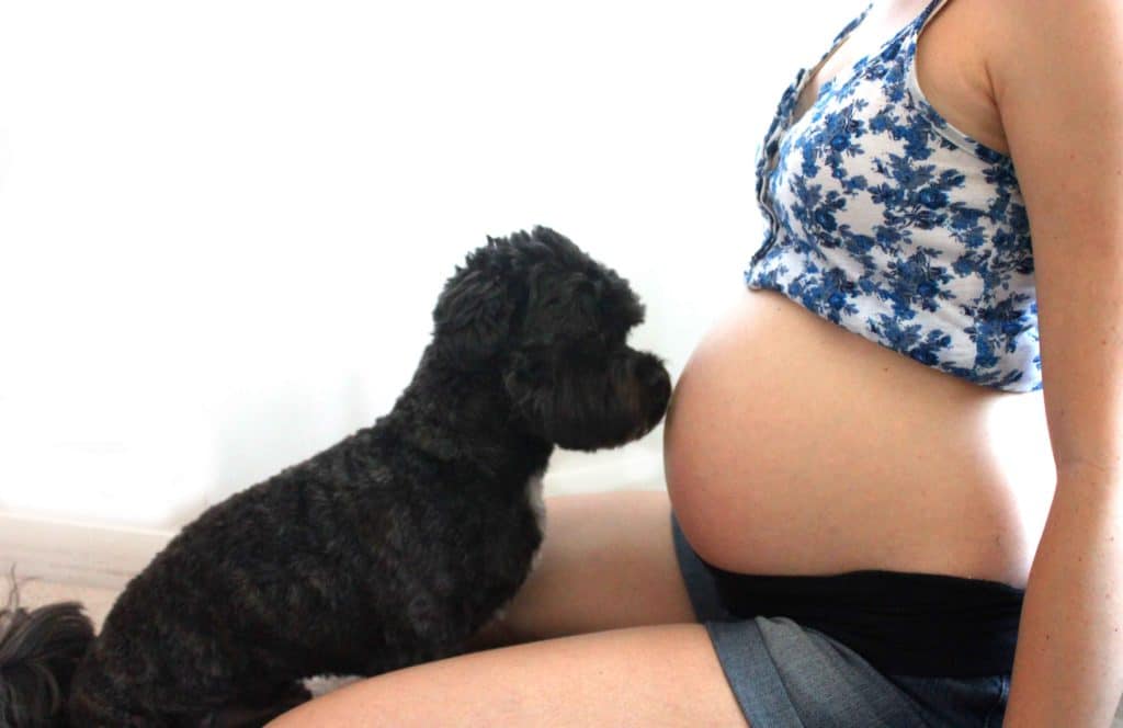 Second Trimester Recap 27 weeks @jesselwellness #27weeks #healthypregnancy