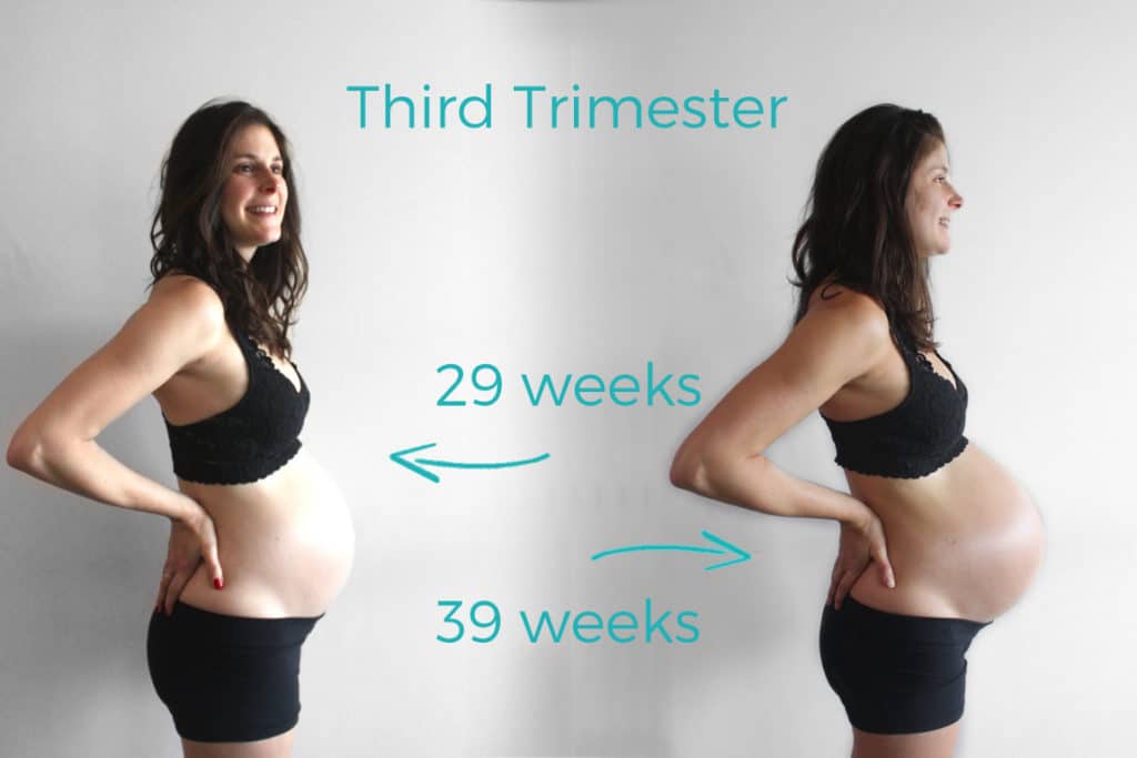 ThirdTrimester Recap by @jesselwellness #thirdtrimester #pregnancy