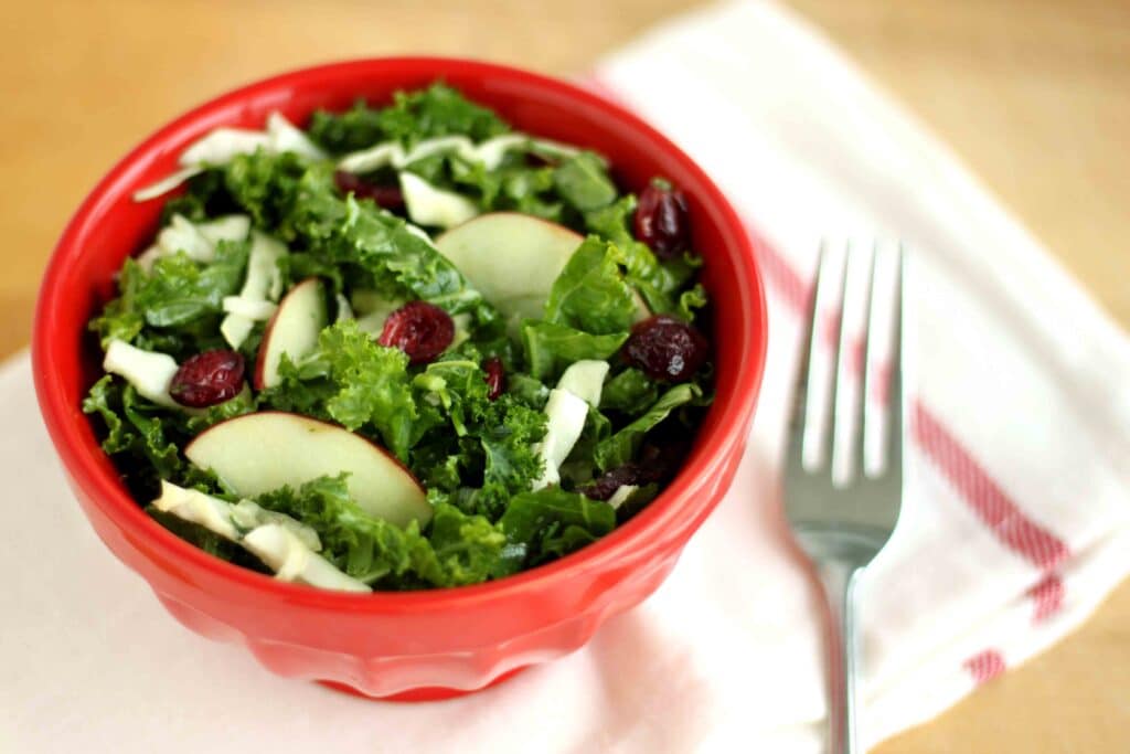 Cranberry Apple Kale Slaw Salad by Jesse Lane Wellness