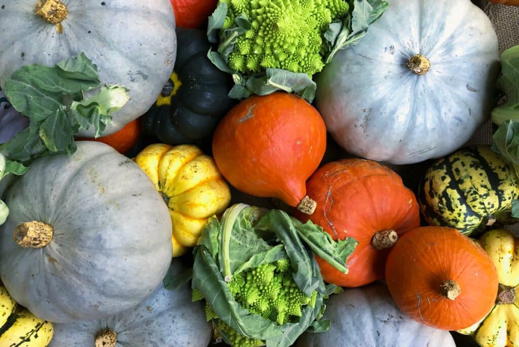 most popular fall foods