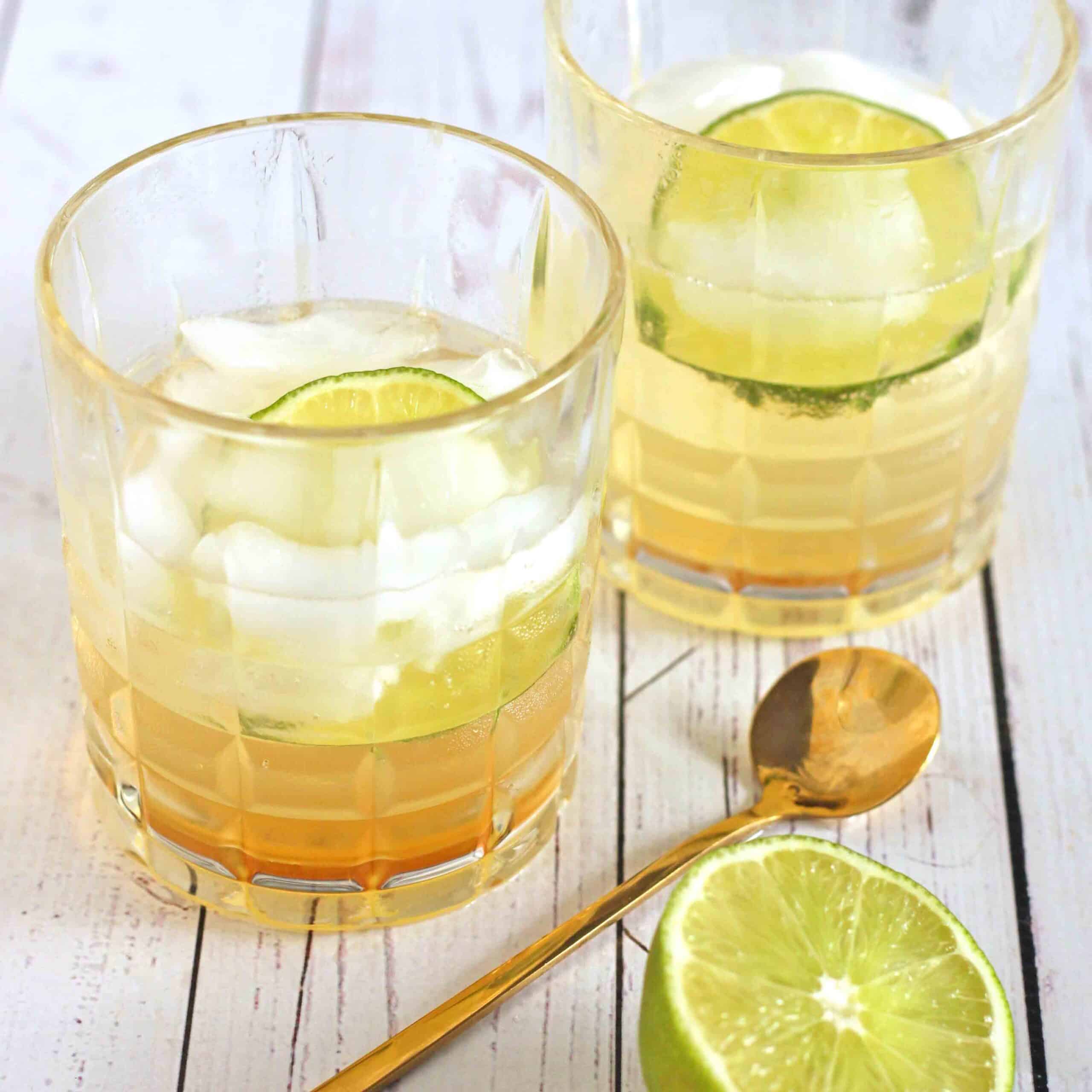 Kombucha Dark and Stormy Cocktail Recipe by Jesse Lane Lee
