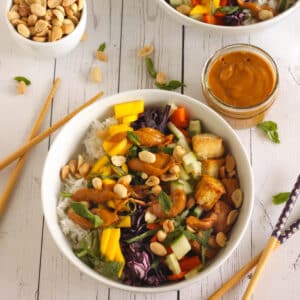 Tofu Bowl with Thai Peanut Sauce Recipe for Meal Planning by Jesse Lane Lee